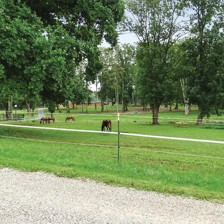 Cozy In Kuhlen With Sauna